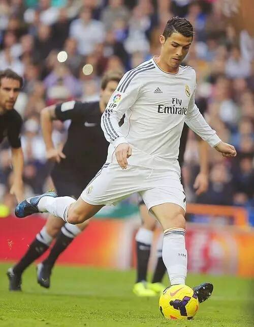 答案将在比 答案将在比