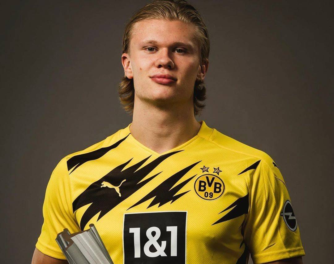 意味着长期 意味着长期